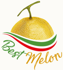 Logo BestMelon